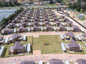 Avance 19 de diciembre 2025 - Bosque de Sagano