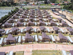 Avance 19 de diciembre 2025 - Bosque de Sagano