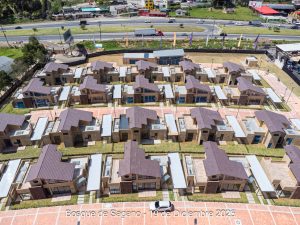 Avance 19 de diciembre 2025 - Bosque de Sagano