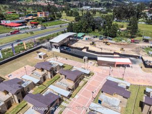 Avance 19 de diciembre 2025 - Bosque de Sagano