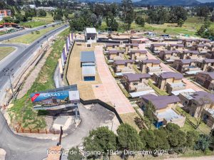 Avance 19 de diciembre 2025 - Bosque de Sagano