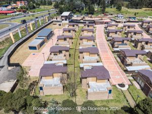 Avance 19 de diciembre 2025 - Bosque de Sagano