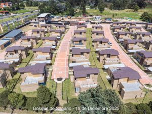 Avance 19 de diciembre 2025 - Bosque de Sagano