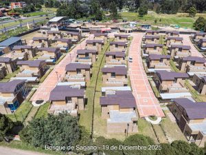 Avance 19 de diciembre 2025 - Bosque de Sagano