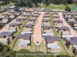 Avance 19 de diciembre 2025 - Bosque de Sagano