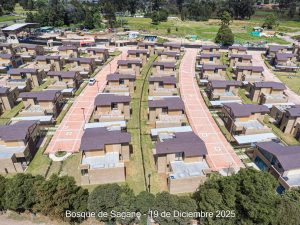 Avance 19 de diciembre 2025 - Bosque de Sagano