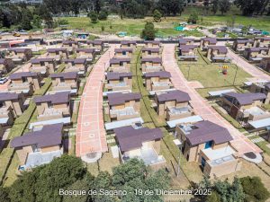 Avance 19 de diciembre 2025 - Bosque de Sagano