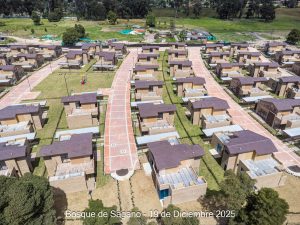 Avance 19 de diciembre 2025 - Bosque de Sagano