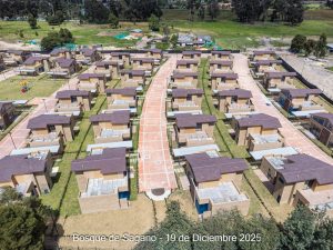 Avance 19 de diciembre 2025 - Bosque de Sagano