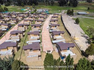 Avance 19 de diciembre 2025 - Bosque de Sagano