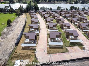 Avance 19 de diciembre 2025 - Bosque de Sagano