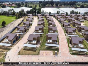 Avance 19 de diciembre 2025 - Bosque de Sagano