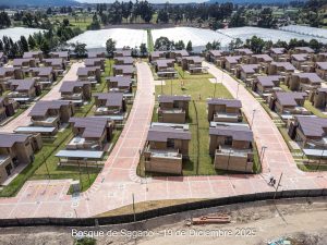 Avance 19 de diciembre 2025 - Bosque de Sagano