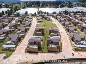 Avance 19 de diciembre 2025 - Bosque de Sagano