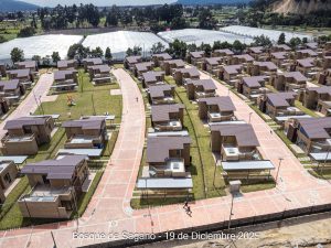 Avance 19 de diciembre 2025 - Bosque de Sagano