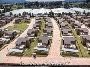 Avance 19 de diciembre 2025 - Bosque de Sagano