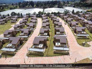 Avance 19 de diciembre 2025 - Bosque de Sagano