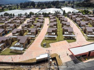 Avance 19 de diciembre 2025 - Bosque de Sagano