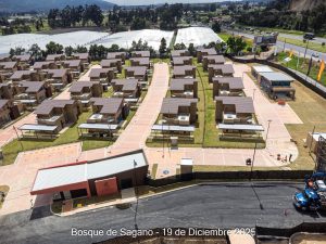 Avance 19 de diciembre 2025 - Bosque de Sagano