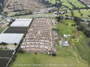Foto de avance de obra Bosque de Sagano tomada el 19 de Marzo de 2025