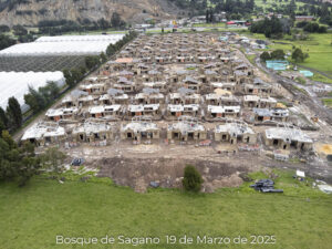 Foto de avance de obra Bosque de Sagano tomada el 19 de Marzo de 2025