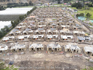 Foto de avance de obra Bosque de Sagano tomada el 19 de Marzo de 2025