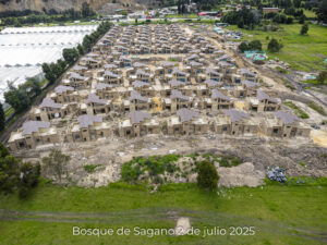 Foto de avance de obra del proyecto Bosques de Sagano del 2 de julio de 2025