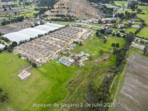 Foto de avance de obra del proyecto Bosques de Sagano del 2 de julio de 2025