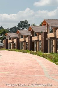 21 de noviembre - Detalles Urbanísticos - Bosque de Sagano