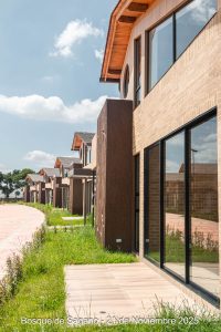 21 de noviembre - Detalles Urbanísticos - Bosque de Sagano