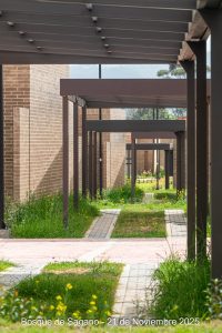 21 de noviembre - Detalles Urbanísticos - Bosque de Sagano