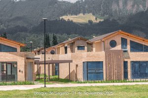 21 de noviembre - Detalles Urbanísticos - Bosque de Sagano