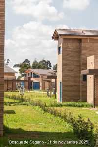 21 de noviembre - Detalles Urbanísticos - Bosque de Sagano