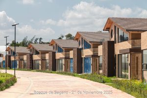 21 de noviembre - Detalles Urbanísticos - Bosque de Sagano