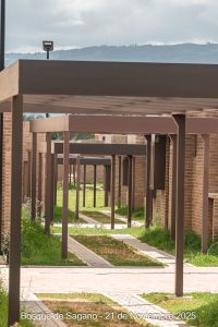 21 de noviembre - Detalles Urbanísticos - Bosque de Sagano