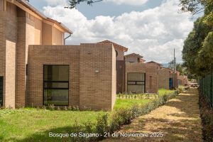 21 de noviembre - Detalles Urbanísticos - Bosque de Sagano
