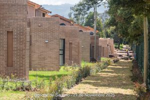 21 de noviembre - Detalles Urbanísticos - Bosque de Sagano