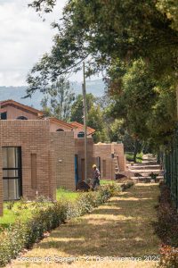 21 de noviembre - Detalles Urbanísticos - Bosque de Sagano