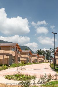 21 de noviembre - Detalles Urbanísticos - Bosque de Sagano