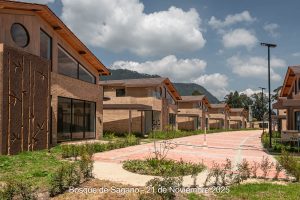 21 de noviembre - Detalles Urbanísticos - Bosque de Sagano