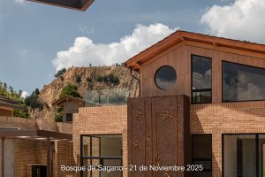 21 de noviembre - Detalles Urbanísticos - Bosque de Sagano