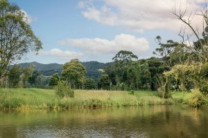 Vistas del lote de Bosques de la Riviera mostrando bosques nativos, lagunas y senderos en Cajicá