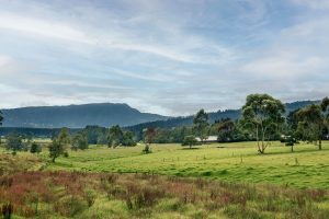 Vistas del lote de Bosques de la Riviera mostrando bosques nativos, lagunas y senderos en Cajicá
